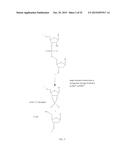 RNASE H-BASED ASSAYS UTILIZING MODIFIED RNA MONOMERS diagram and image