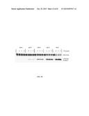 RNASE H-BASED ASSAYS UTILIZING MODIFIED RNA MONOMERS diagram and image