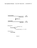 RNASE H-BASED ASSAYS UTILIZING MODIFIED RNA MONOMERS diagram and image