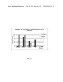 RNASE H-BASED ASSAYS UTILIZING MODIFIED RNA MONOMERS diagram and image