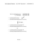 RNASE H-BASED ASSAYS UTILIZING MODIFIED RNA MONOMERS diagram and image