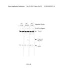 RNASE H-BASED ASSAYS UTILIZING MODIFIED RNA MONOMERS diagram and image