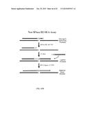 RNASE H-BASED ASSAYS UTILIZING MODIFIED RNA MONOMERS diagram and image