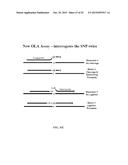 RNASE H-BASED ASSAYS UTILIZING MODIFIED RNA MONOMERS diagram and image