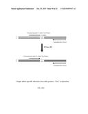 RNASE H-BASED ASSAYS UTILIZING MODIFIED RNA MONOMERS diagram and image