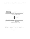 RNASE H-BASED ASSAYS UTILIZING MODIFIED RNA MONOMERS diagram and image