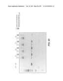 SELF-CONTAINED BIOLOGICAL ASSAY APPARATUS, METHODS, AND APPLICATIONS diagram and image