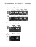 DETECTION METHOD FOR HYDROXYMETHYLATED CYTOSINE IN DNA AND REAGENT KIT FOR     DETECTION diagram and image
