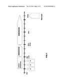 MOLECULAR SIGNATURE OF CUTANEOUS PIGMENTARY SPOTS, ASSOCIATED WITH THE     EXTRACELLULAR MATRIX diagram and image