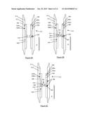 Downhole Apparatus and Method diagram and image