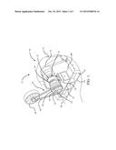 DRIVELINE ASSEMBLY FOR RADIATOR FAN DRIVE diagram and image