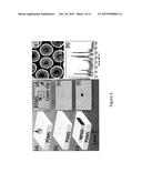 METHOD OF STAMPING SURFACE-ENHANCE RAMAN SPECTROSCOPY FOR LABEL-FREE,     MULTIPLEXED, MOLECULAR SENSING AND IMAGING diagram and image