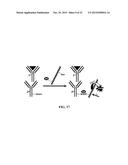 Fluorescent Methods and Materials for Directed Biomarker Signal     Amplification diagram and image