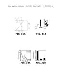 Fluorescent Methods and Materials for Directed Biomarker Signal     Amplification diagram and image