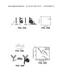 Fluorescent Methods and Materials for Directed Biomarker Signal     Amplification diagram and image