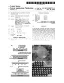 MULTIFUNCTIONAL GRAPHENE COATED SCANNING TIPS diagram and image