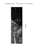 MULTIFUNCTIONAL GRAPHENE COATED SCANNING TIPS diagram and image