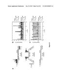 MULTIFUNCTIONAL GRAPHENE COATED SCANNING TIPS diagram and image