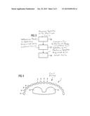 METHOD AND MAGNETIC RESONANCE APPARATUS FOR ESTABLISHING A RESONANT     FREQUENCY diagram and image