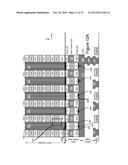 Vertical Bit Line Wide Band Gap TFT Decoder diagram and image