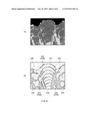 ELECTROLYTE AND SECONDARY BATTERY diagram and image