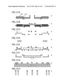 SEMICONDUCTOR DEVICE diagram and image