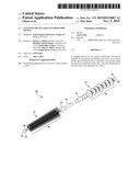 CLEANING DEVICE FOR AN ENDOSCOPIC DEVICE diagram and image