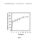 BREAST PROSTHESIS ALLOWING CONTROLLED RELEASE OF DRUG AND PRODUCTION     METHOD FOR SAME diagram and image