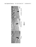 BREAST PROSTHESIS ALLOWING CONTROLLED RELEASE OF DRUG AND PRODUCTION     METHOD FOR SAME diagram and image