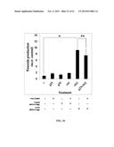 Composition and Method for Treating Neuronal Ceroid Lipofuscinosis diagram and image