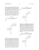 HYDRAZONE MODULATORS OF CANNABINOID RECEPTORS diagram and image