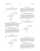 HYDRAZONE MODULATORS OF CANNABINOID RECEPTORS diagram and image