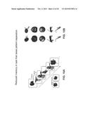 METHODS AND COMPOSITIONS FOR TREATING SCHIZOPHRENIA diagram and image