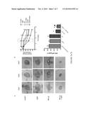 ENHANCED NITRIC OXIDE DELIVERY AND USES THEREOF diagram and image