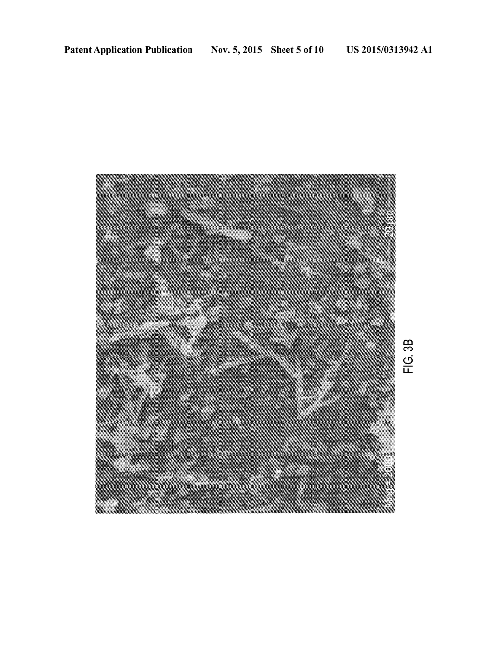 Composites of Hydroxyapatite and Calcium Carbonate and Related Methods of     Preparation and use - diagram, schematic, and image 06