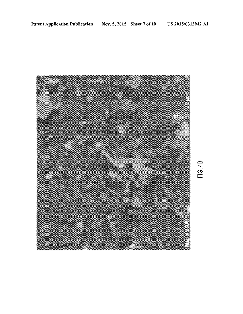 Composites of Hydroxyapatite and Calcium Carbonate and Related Methods of     Preparation and use - diagram, schematic, and image 08