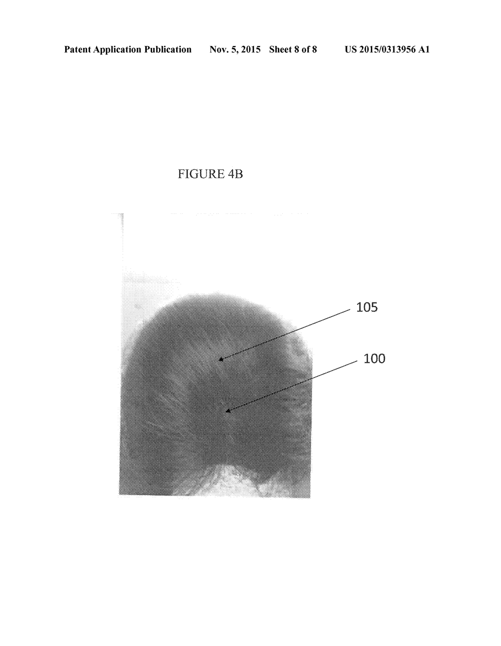 COMPOSITIONS AND METHODS FOR HAIR GROWTH - diagram, schematic, and image 09