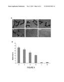 Methods and Agents for Wound Healing diagram and image