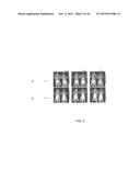 Genetic Attenuation of Plasmodium by B9 Gene Disruption diagram and image