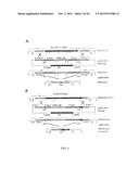 Genetic Attenuation of Plasmodium by B9 Gene Disruption diagram and image