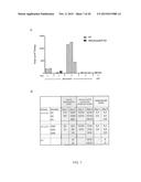 Genetic Attenuation of Plasmodium by B9 Gene Disruption diagram and image