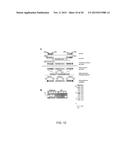 Genetic Attenuation of Plasmodium by B9 Gene Disruption diagram and image