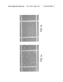 Purified Plasmodium and Vaccine Compositions diagram and image