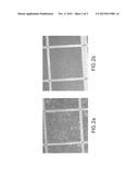 Purified Plasmodium and Vaccine Compositions diagram and image