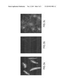 Purified Plasmodium and Vaccine Compositions diagram and image