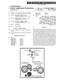 PARTICULATE DRUG DELIVERY METHODS diagram and image