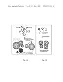 PARTICULATE DRUG DELIVERY METHODS diagram and image