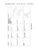 PARTICULATE DRUG DELIVERY METHODS diagram and image