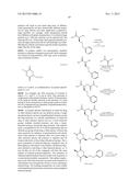 PARTICULATE DRUG DELIVERY METHODS diagram and image