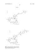 ANTI-CD79B ANTIBODIES AND IMMUNOCONJUGATES AND METHODS OF USE diagram and image